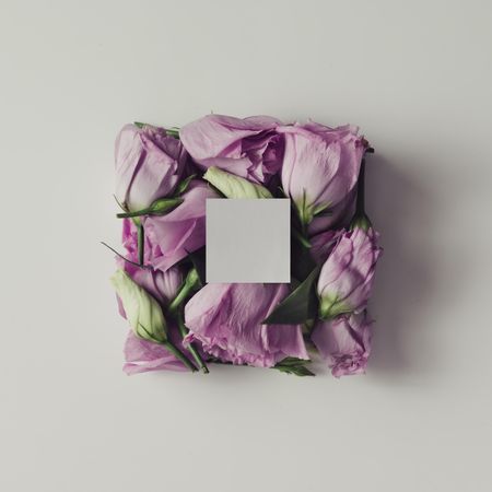 Pink flowers in shape of a gift box with light  paper card on background