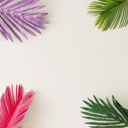 Multicolored palm leaves and shadows in corner on light background