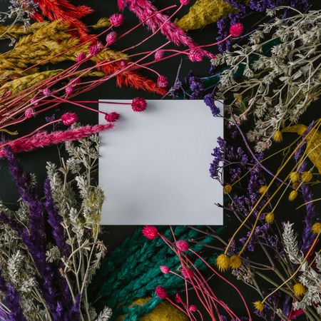 Layout made of colorful dried flowers and leaves with paper card note