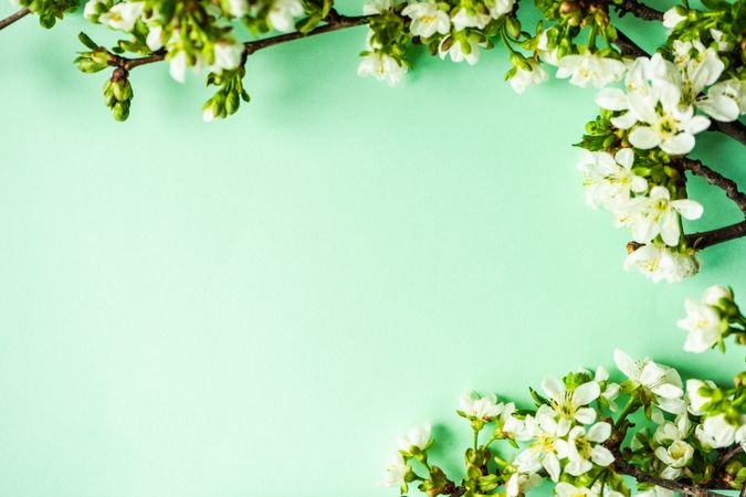 Spring floral frame on  pastel green table