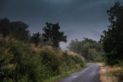 Narrow country road surrounded by trees and with low clouds