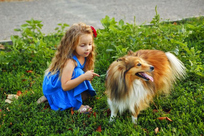 Child in blue dress playing with pet dog in the grass