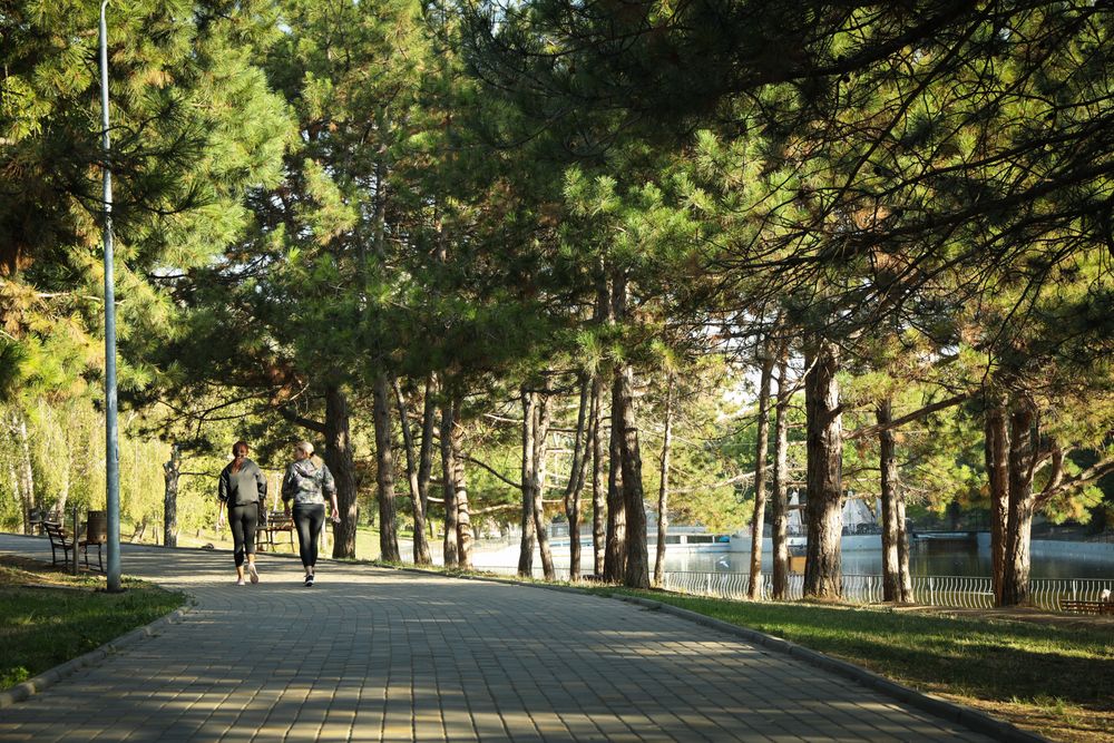 Beautiful city park in bright sunny morning