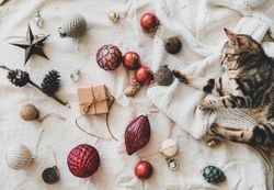 Flat-lay of holiday decoration, with knitted sweater, and cat  looking at bauble, top view