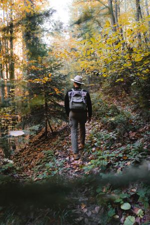 Back view of man with hat and backpack walking in forest