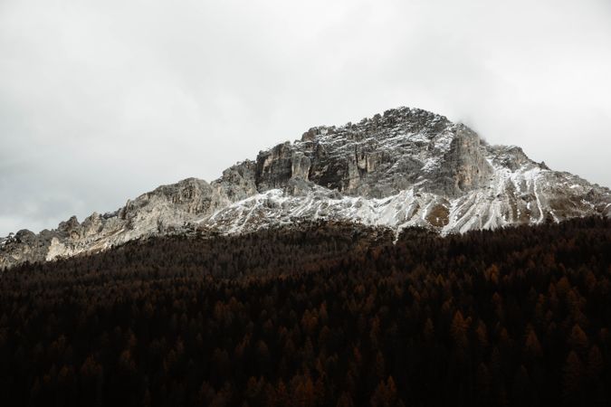 Big mountains near pine forest on cloudy weather