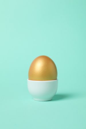 Concept of Richness and prosperity, golden eggs