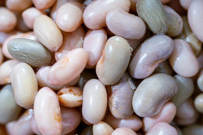 Boiled red beans