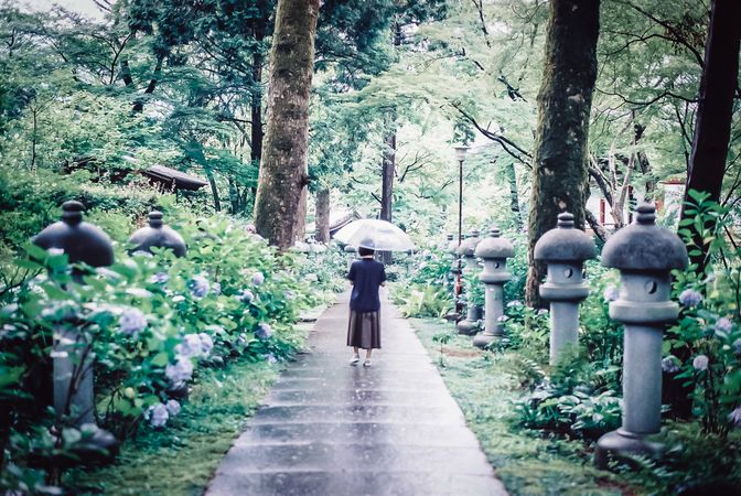 Back view of woman holding an umbrella and walking in a pathway surrounded by trees