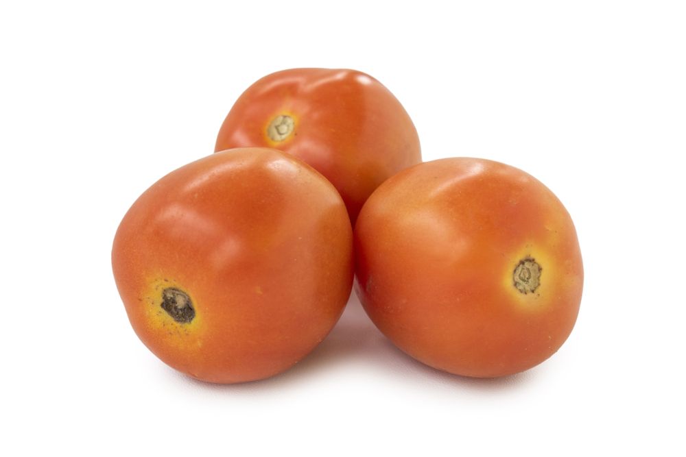 tomato