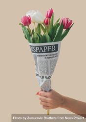 Hand holding spring tulips flowers wrapped in newspapers with Global Pandemic headline 5pvlyb