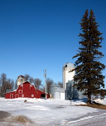 This red barn stands out in a winter field of near Brewster, Minnesota PbYMDb