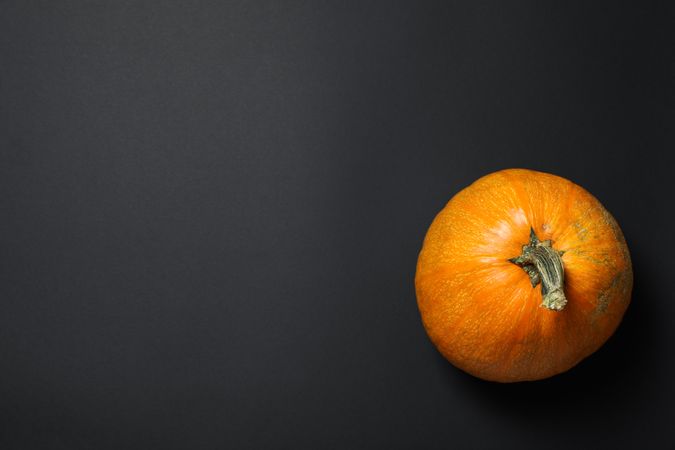 Pumpkin on dark background, space for text