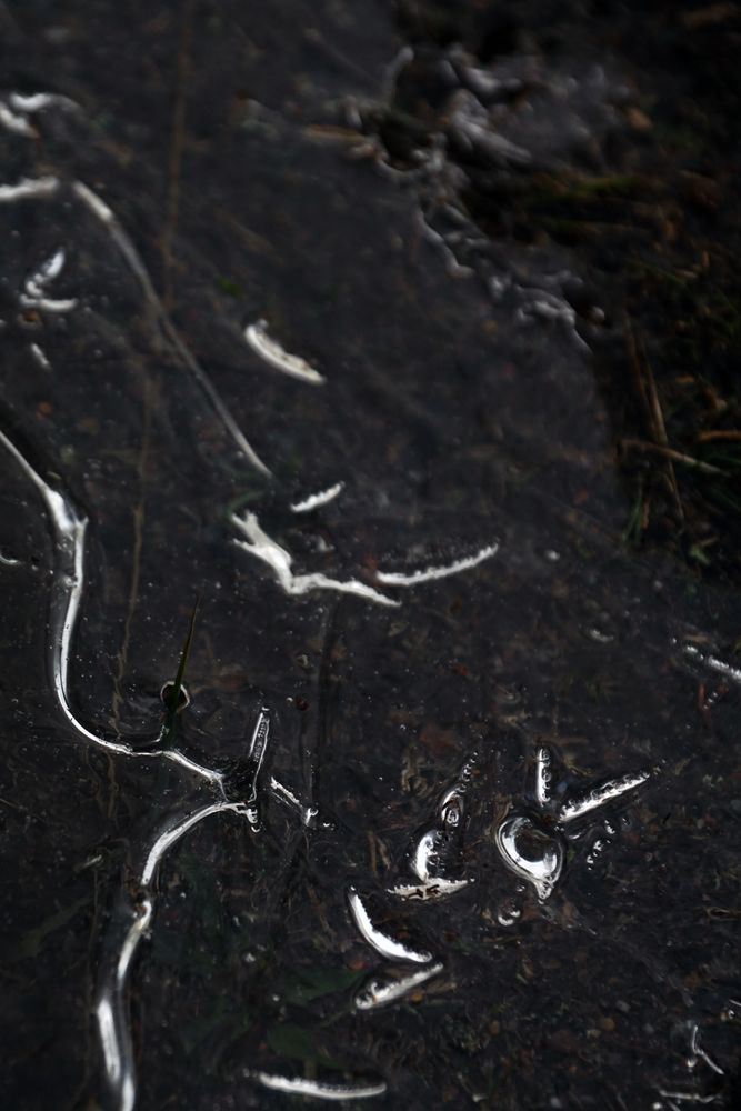 Fragment of thin ice on dark frozen river