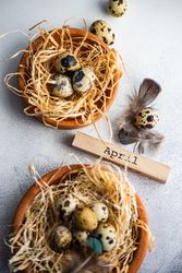 Easter card concept with top view of two small bird nests and "April" on block