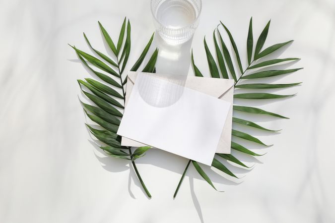 Mock up sheet with branches