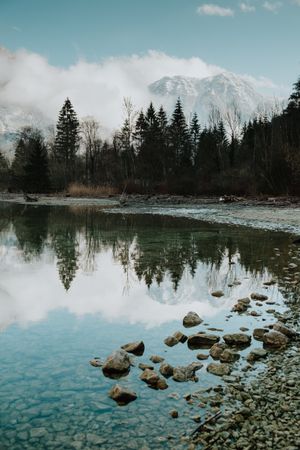 Picturesque shore with forest and crystal lake reflecting tree and sky