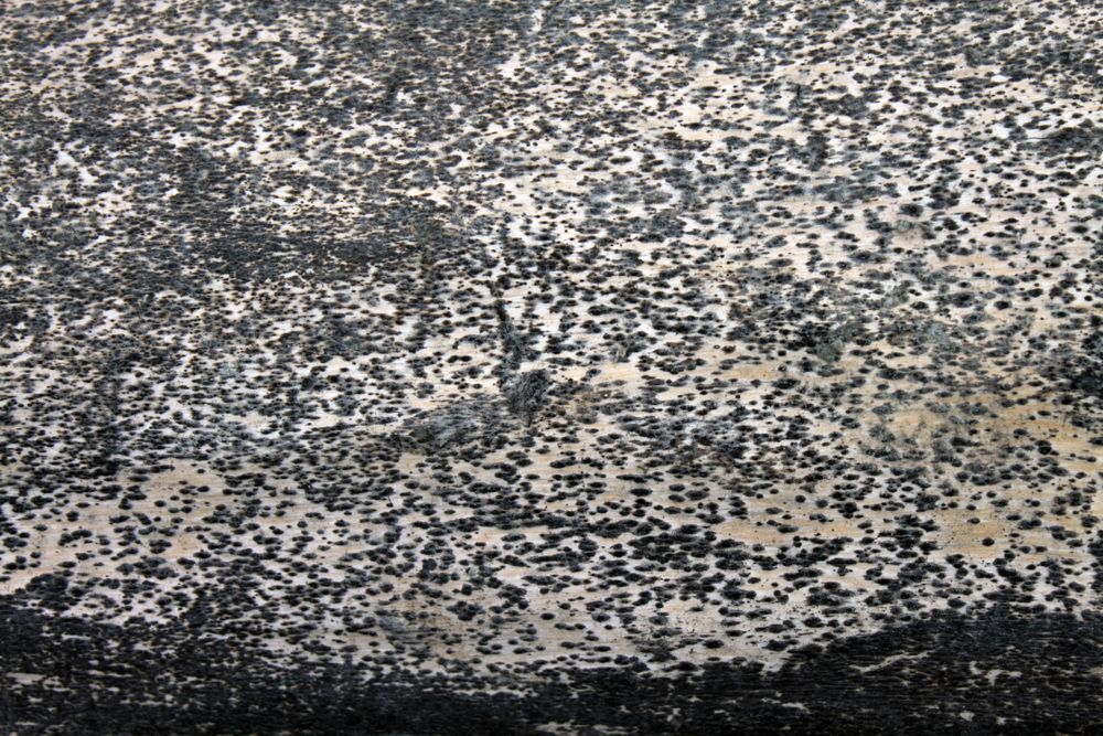 Dotted stone texture