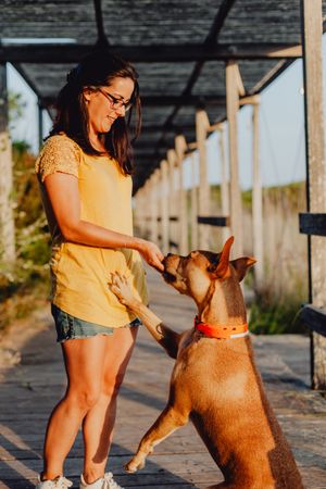 Happy adult woman training dog at countryside