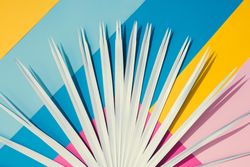 Tropical leaf on colorful bright geometric pattern of yellow, blue, and pink paper