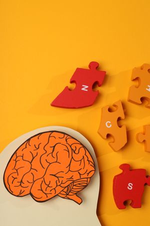 Cut out of head shape with brain & puzzle pieces on orange background, vertical composition