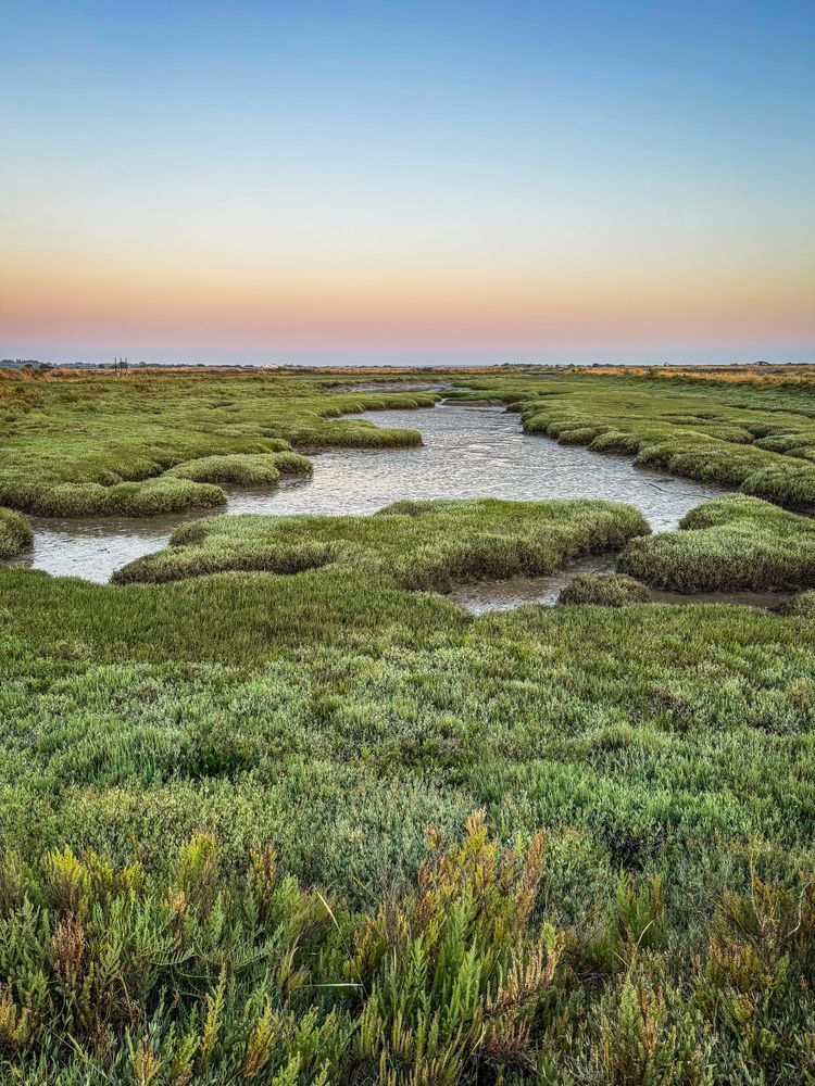 The verdant marshes of the Port de Loix, France