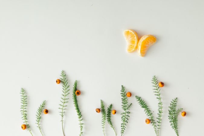 Orange slices in butterfly shape with leaves on light paper