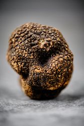 Fresh Italian Truffle