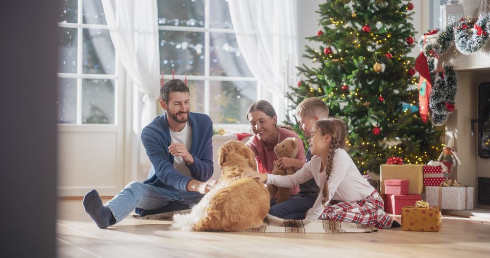Cute Pet Receiving a Lot of Love and Treats on Holiday, Family Bonding Together