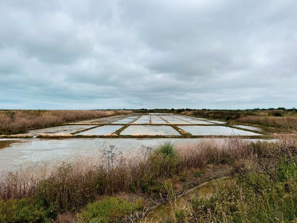 Sea salt harvest marsh, Ile de Ré France