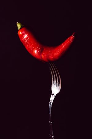 red chili pepper in fork on a dark background