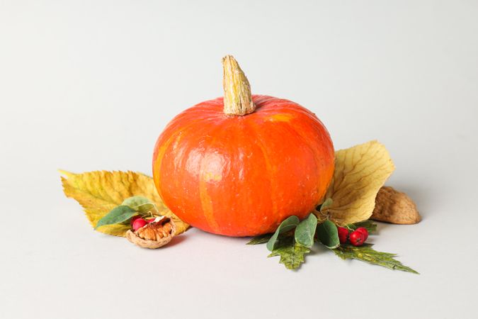 Cooking ingredients for fall season - pumpkin seeds, pumpkin