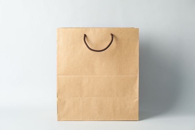 Empty paper bag on light background, space for text