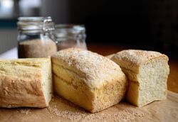 Fresh loaves of bread