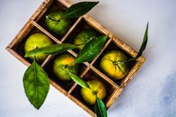 Fresh organic tangerine fruits in box