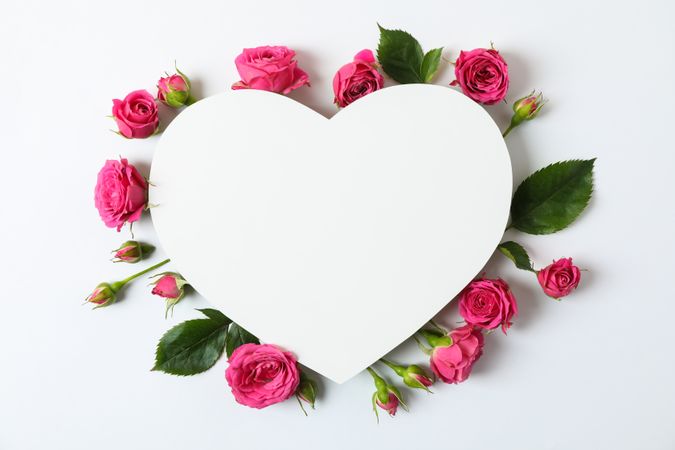Beautiful pink roses and big heart with space for text on light background