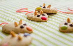 Cookies with mouse shaped and red licorice tail