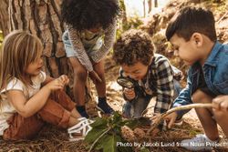 Children in forest looking at leaves as a researcher together with the magnifying glass 5XXB75