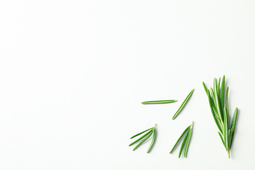 Flat lay composition with rosemary on neutral background, space for text