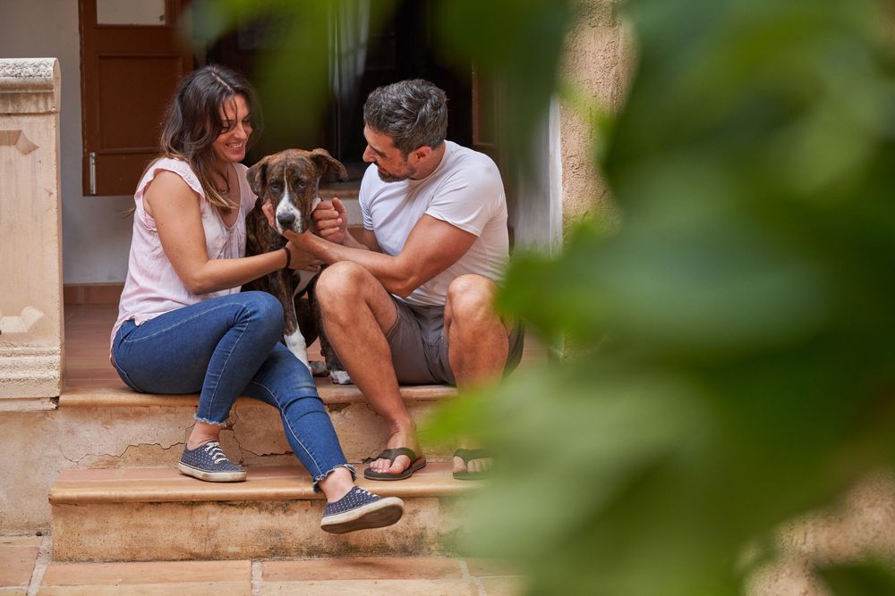 Happy couple sitting on stairs with dog