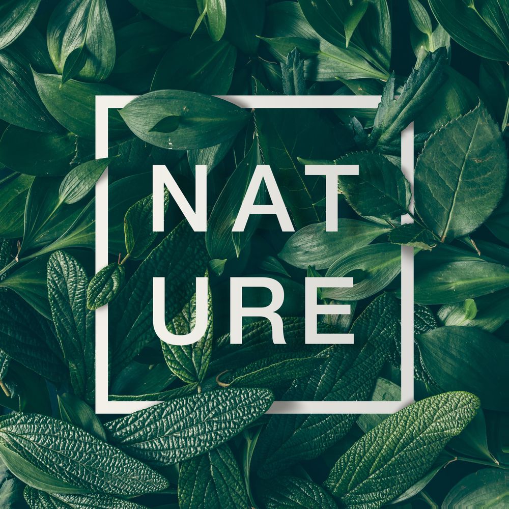 Green leaves layout with light frame with the word “NATURE”