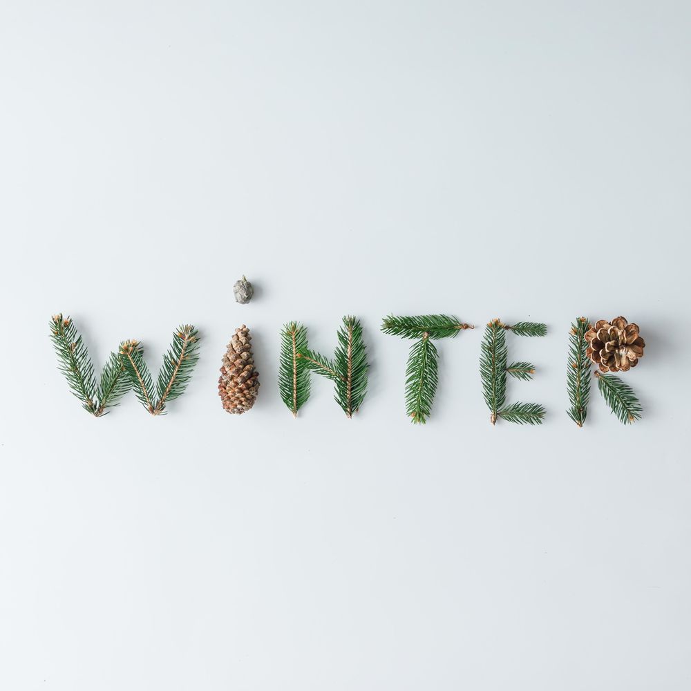 "WINTER" made of tree branches and pine cones on light background