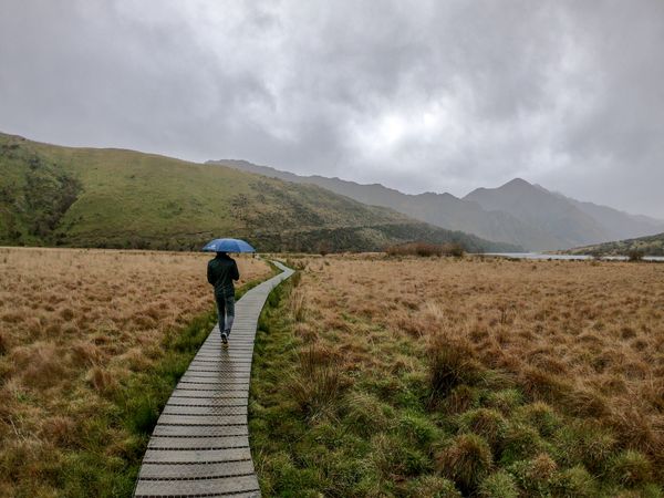 Man holding umbrella walking on wooden pathway near mountains