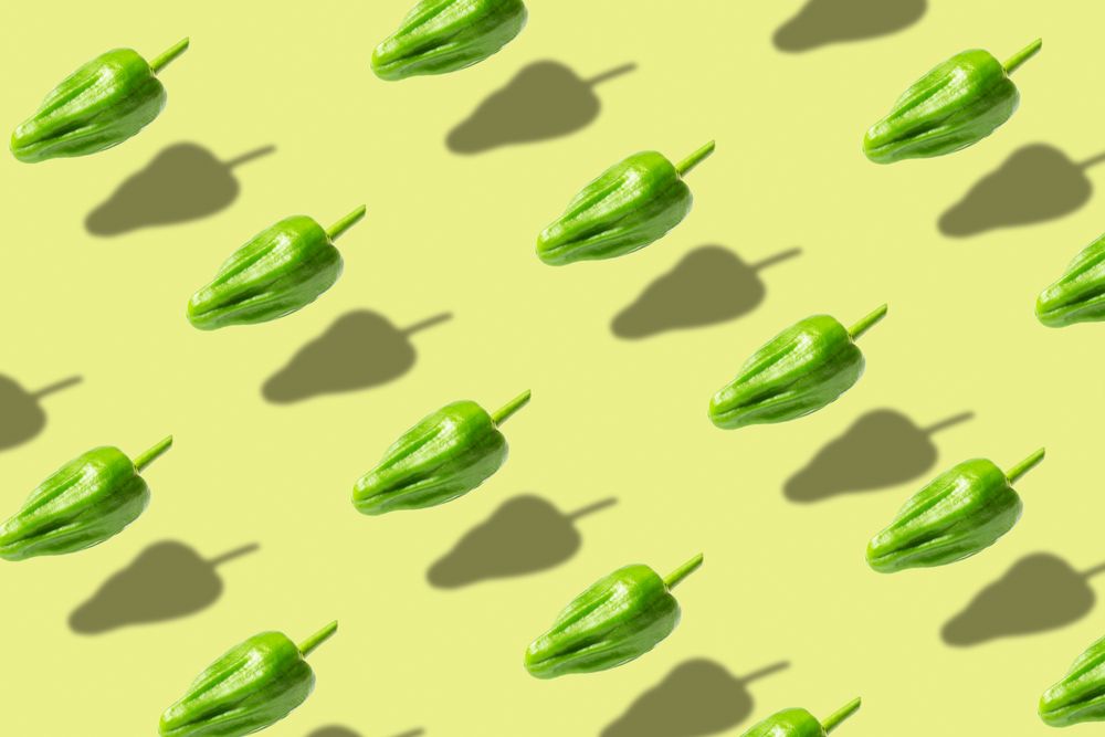Fresh padron pepper