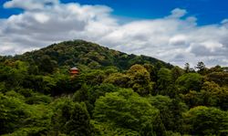 Green trees on mountain under blue sky