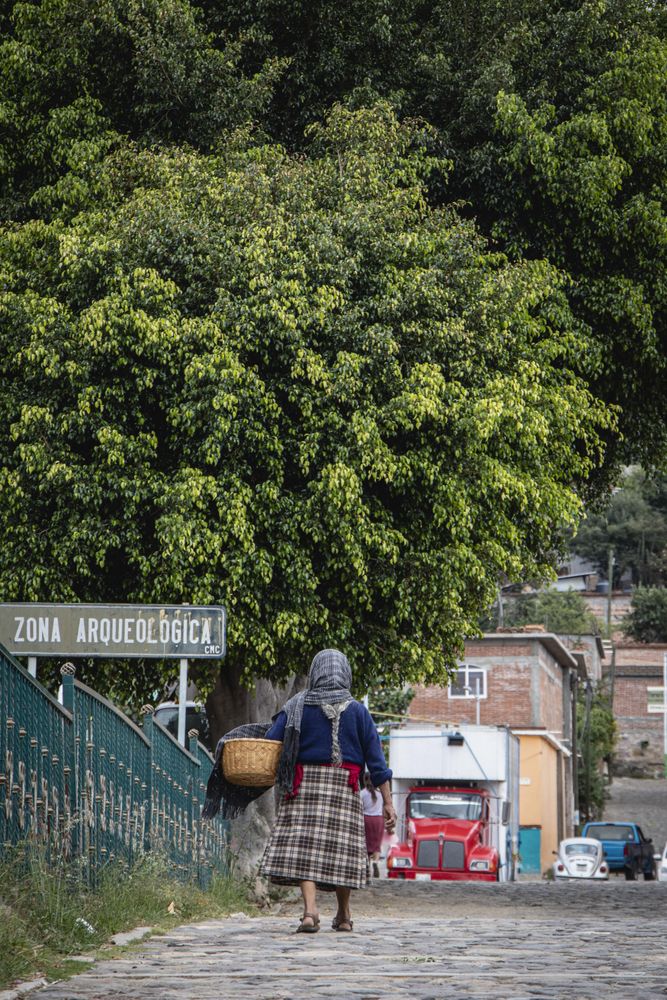 Back view of older woman walking in the neighborhood
