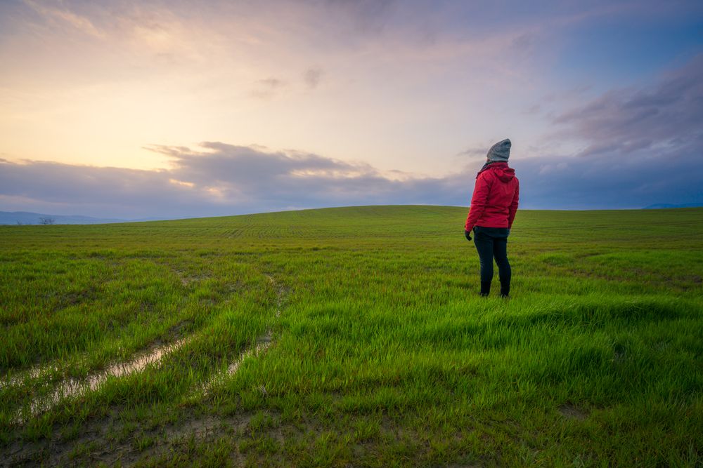 Traveling man walking on green rural road