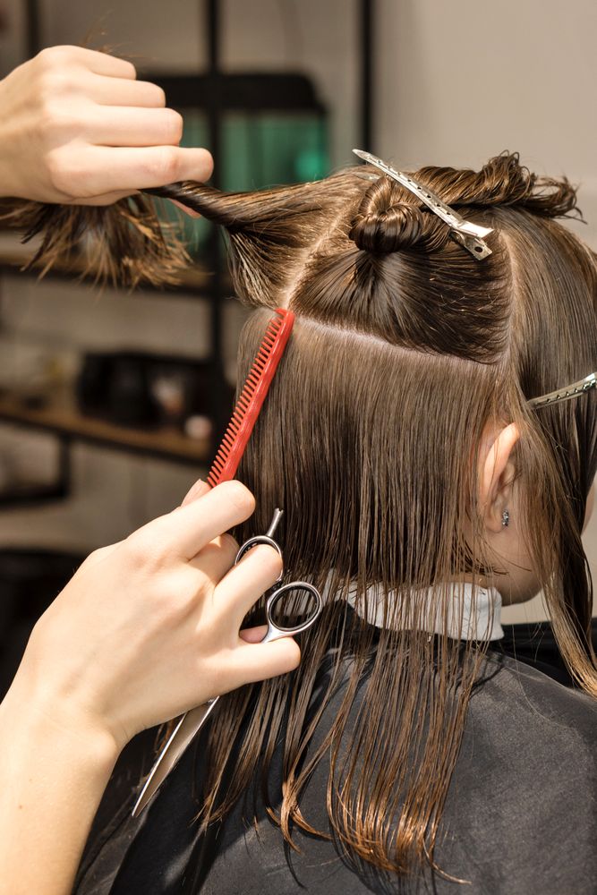 Process of cutting bob, back view