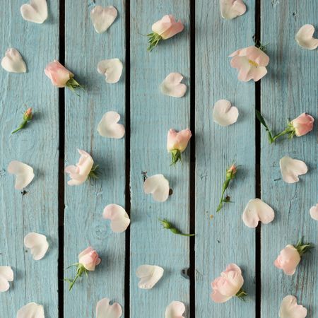 Flowers and petals on wooden background