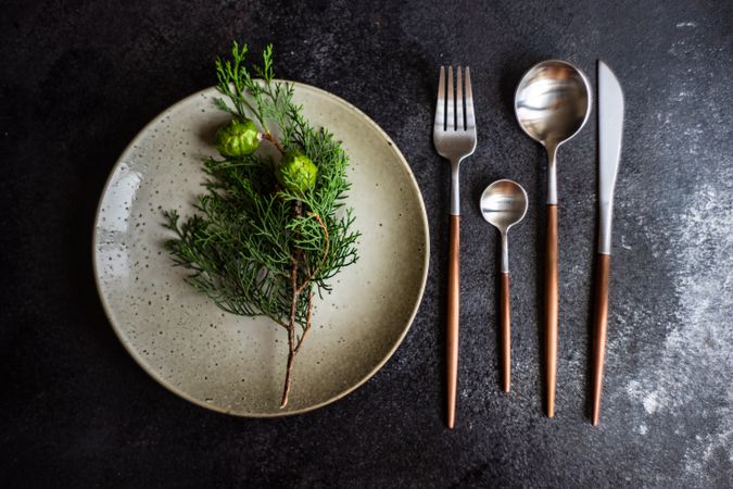 Top view of beige plate with branch and cutlery